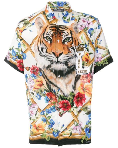 dolce gabbana tiger shirt|dolce & gabbana shirt sale.